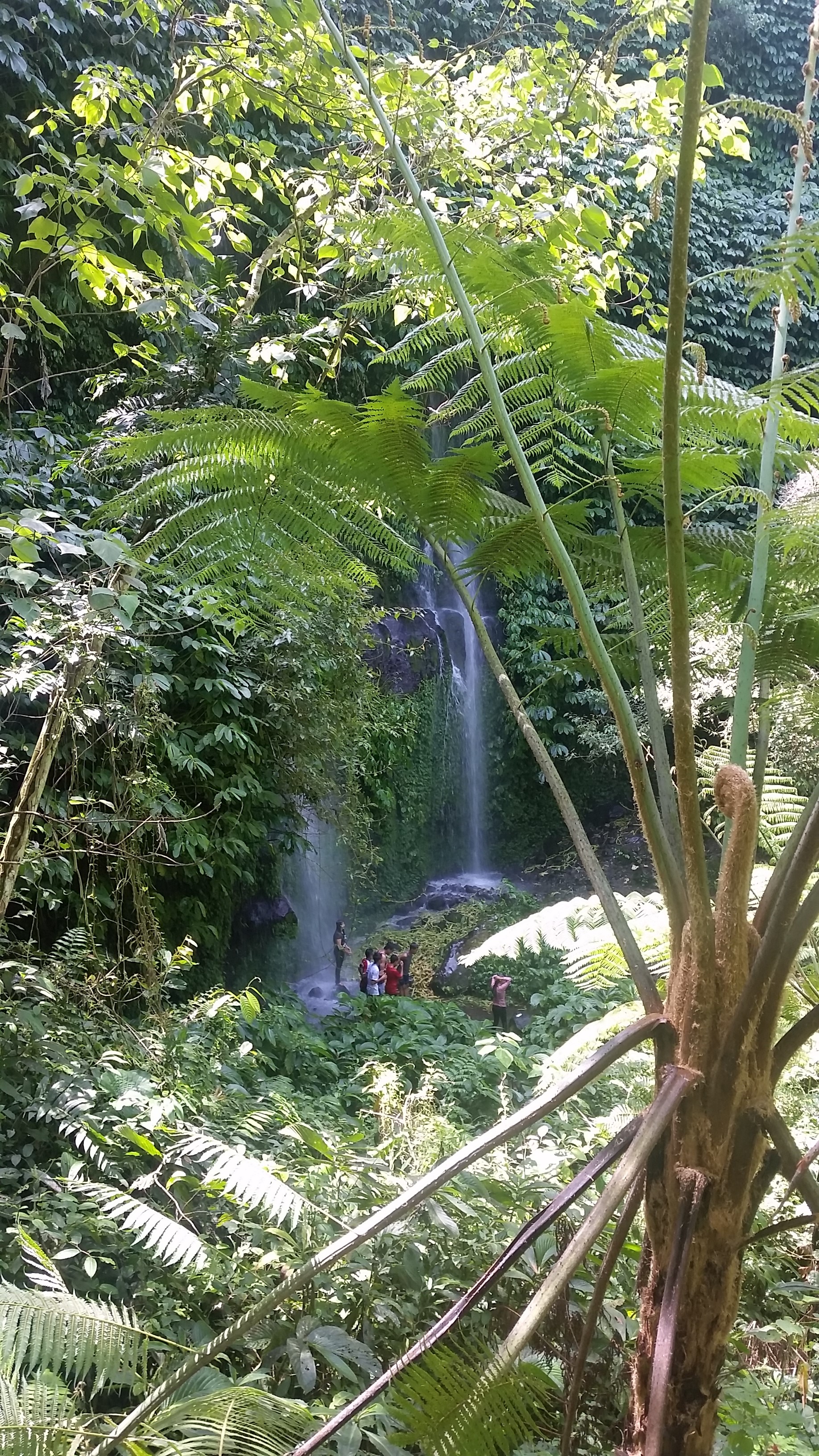 Benang Kelambu - Cascadas en Kuta (Lombok)