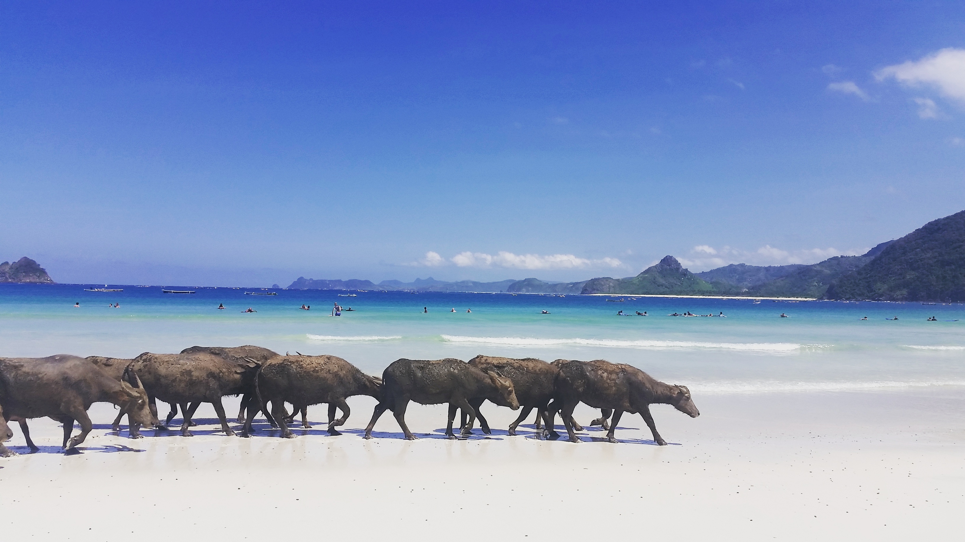 Playa Selong Belanak